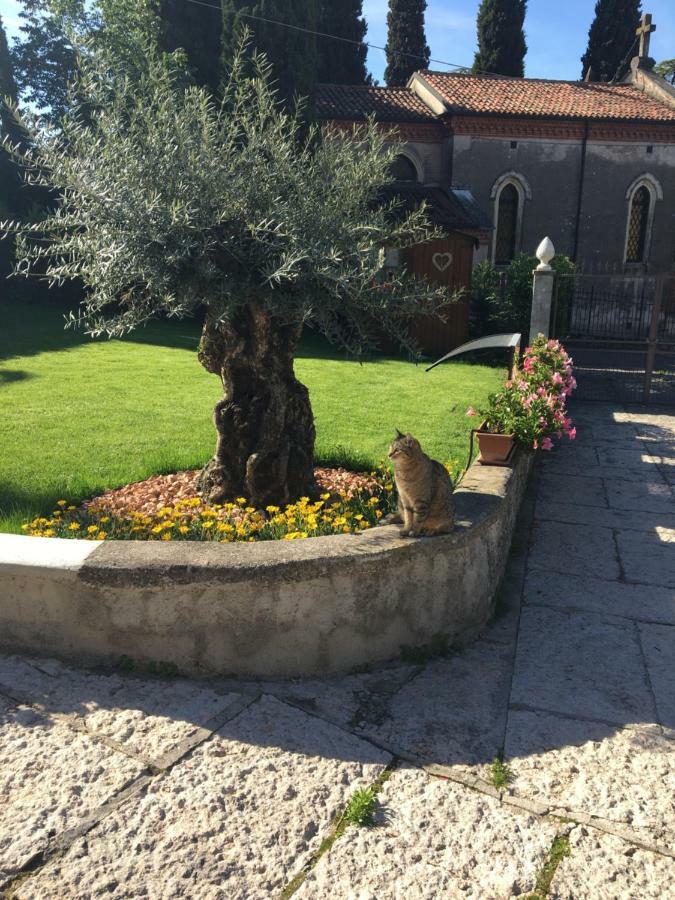 B&B Castel Montorio ヴェローナ エクステリア 写真