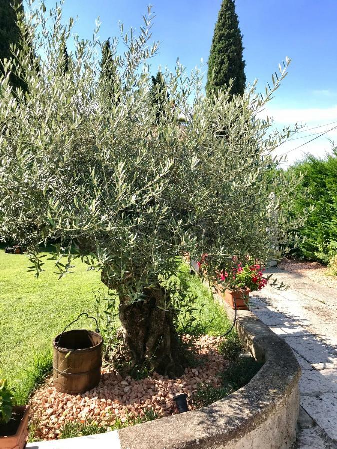 B&B Castel Montorio ヴェローナ エクステリア 写真